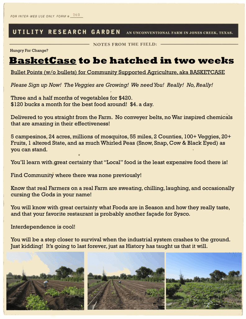 BasketCase to be Hatched in 2 Weeks